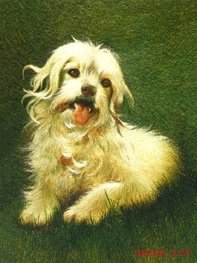 刺绣狗图案  宠物球友会官方入口图案