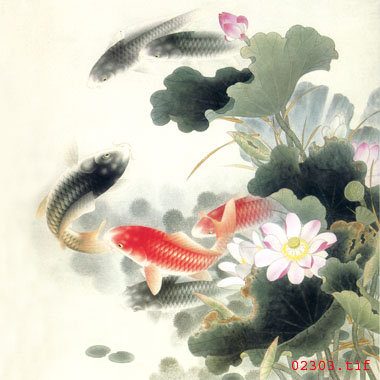 刺绣鱼图案   荷叶鱼球友会官方入口图案