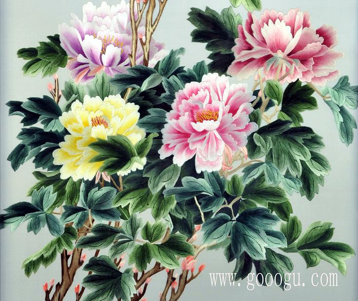 富贵牡丹花细节特写图、颜色过渡协调!